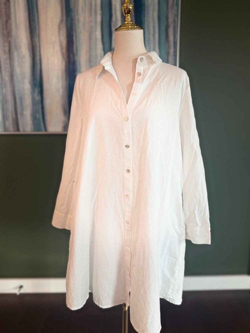 Tuckernuck White Cotton Button Front Shirt Dress Tunic Long Sleeve